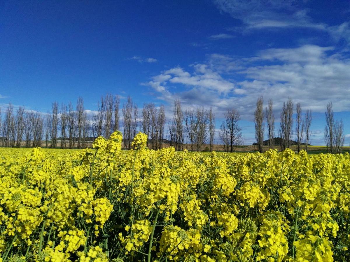 La Aldea Colorada Mota del Marqués Exterior foto